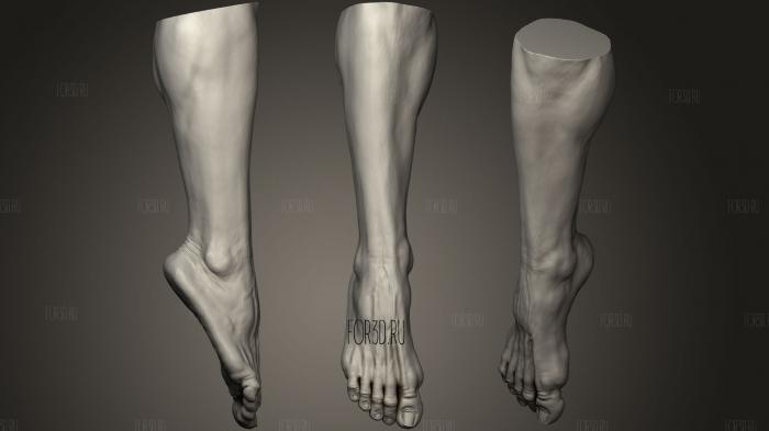 Male Foot 10 stl model for CNC